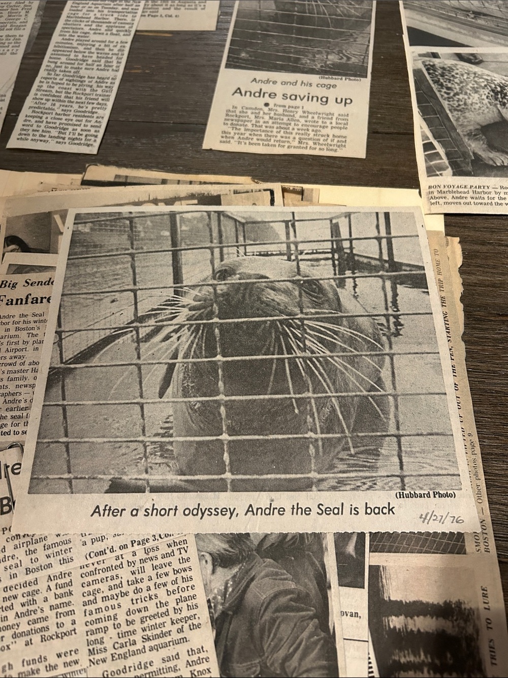 Original Andre The Seal newspaper cuttings scrapbook articles and photos 1970’s